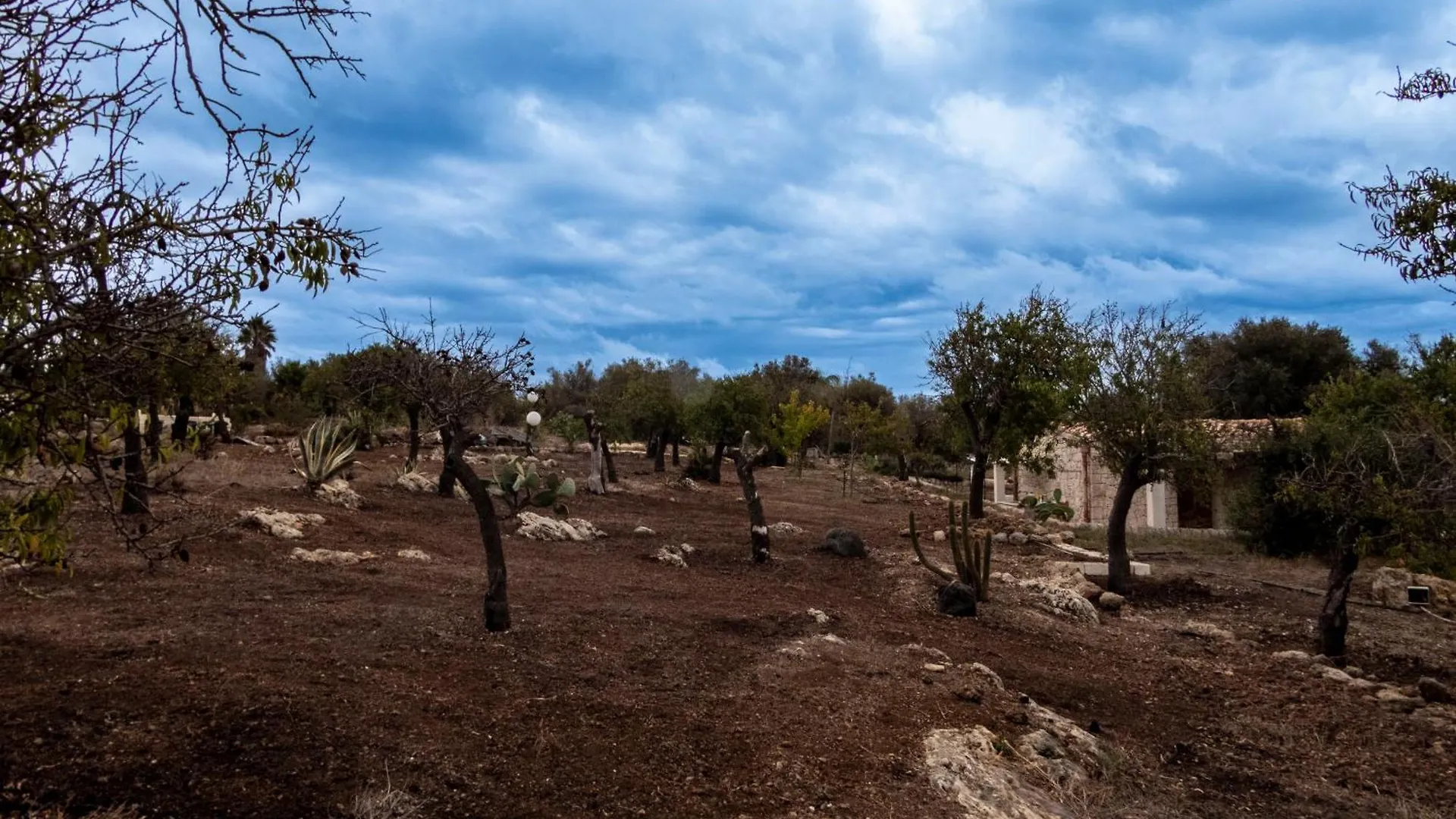 Casa Pizzuta Villa Noto Holiday home