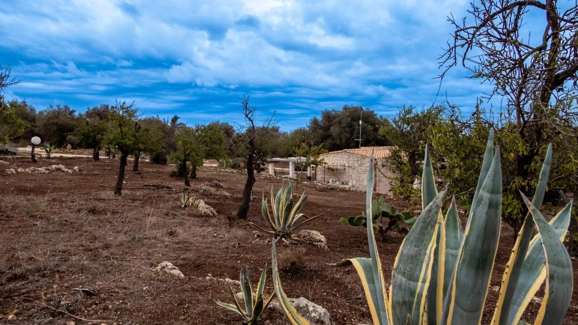Casa Pizzuta Villa Noto