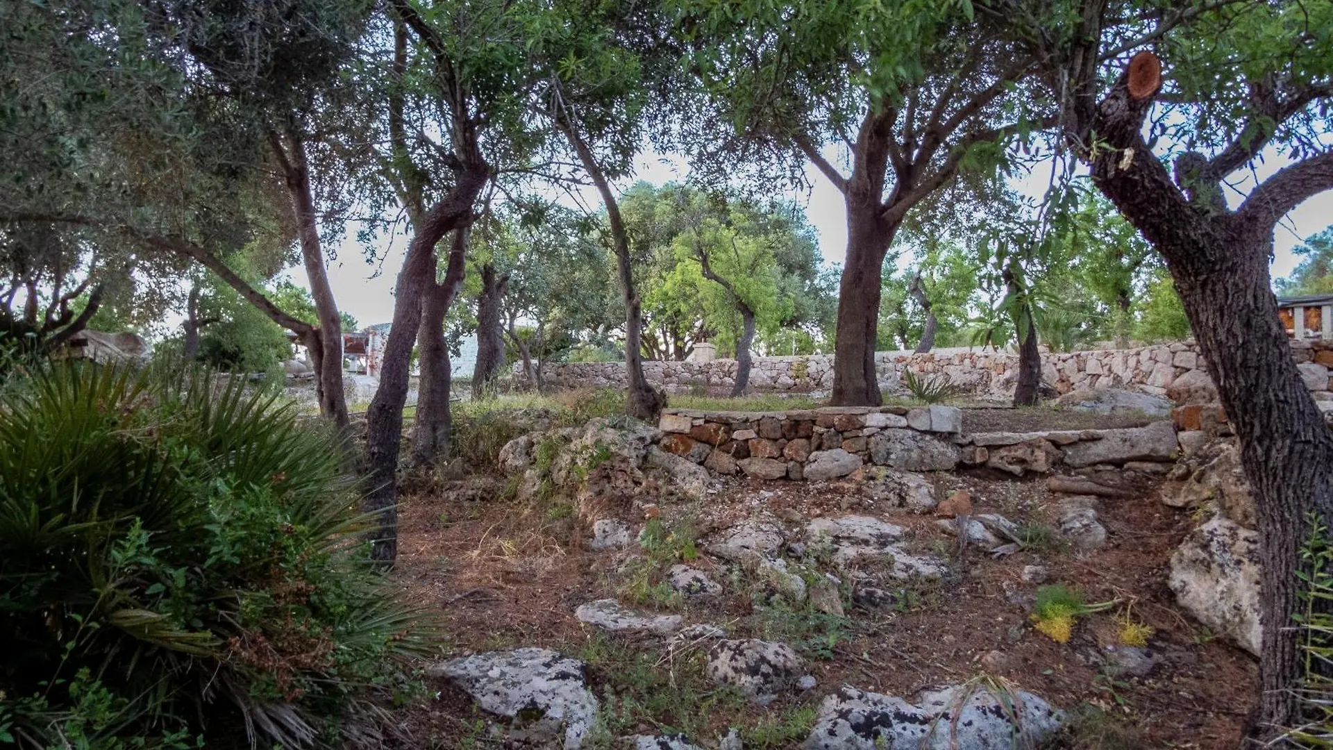 Casa Pizzuta Villa Noto Italy